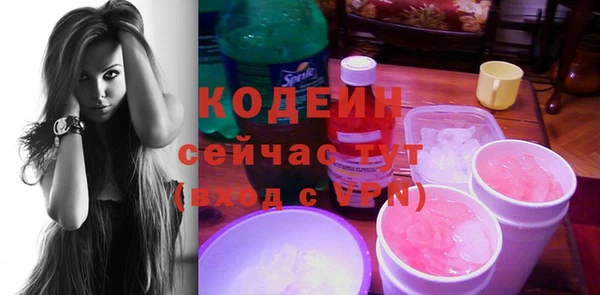 ГАЛЛЮЦИНОГЕННЫЕ ГРИБЫ Чекалин