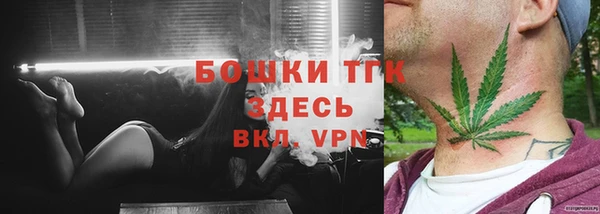 твердый Шали