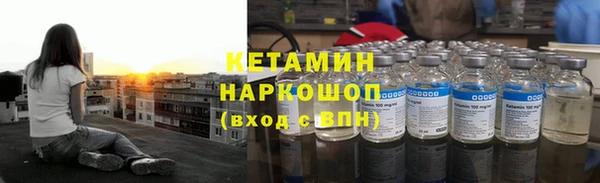 твердый Шали