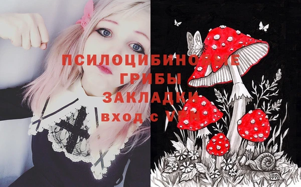 твердый Шали